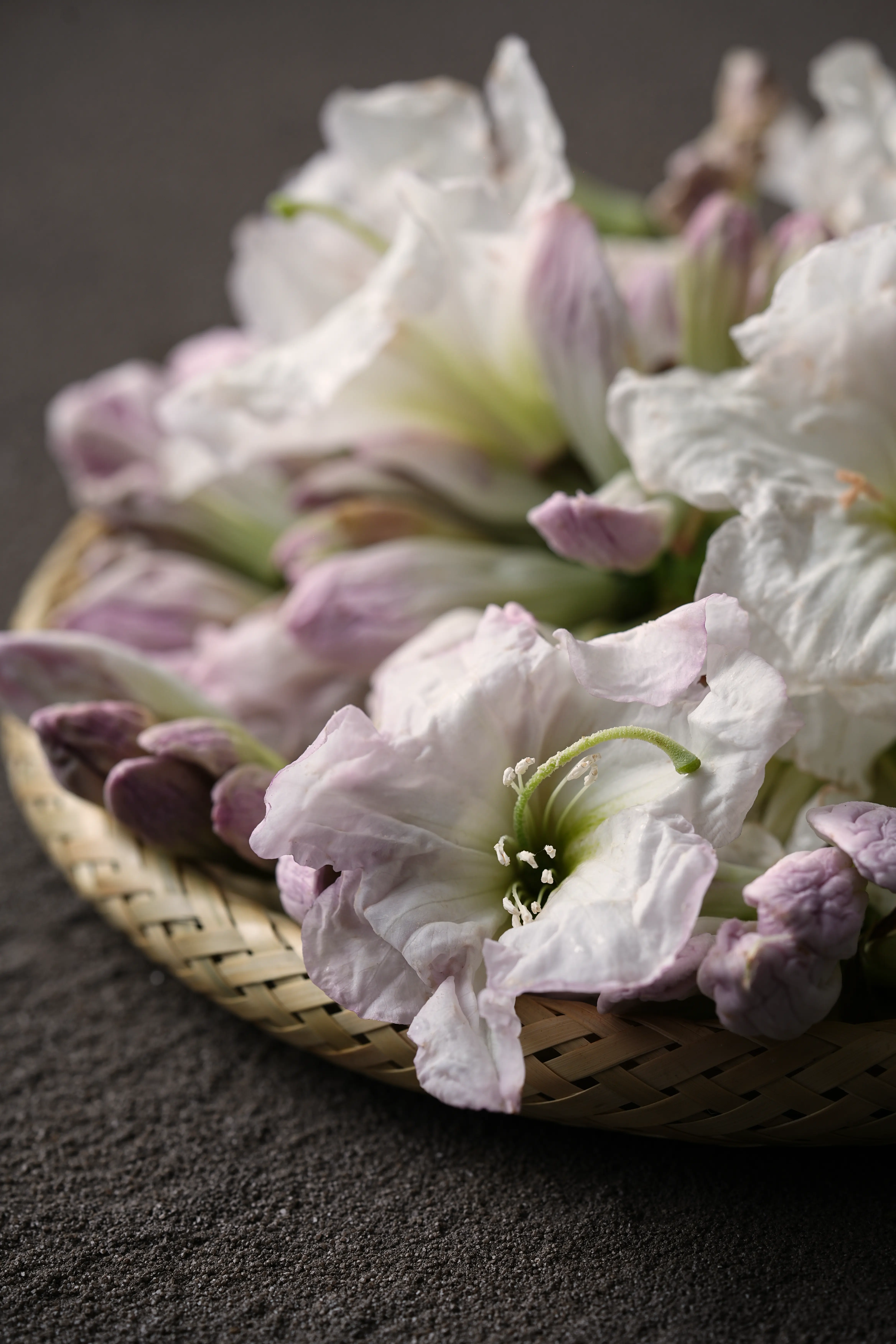 Yuan Cuisine Photography image 56 by maxlux.art / 沉光