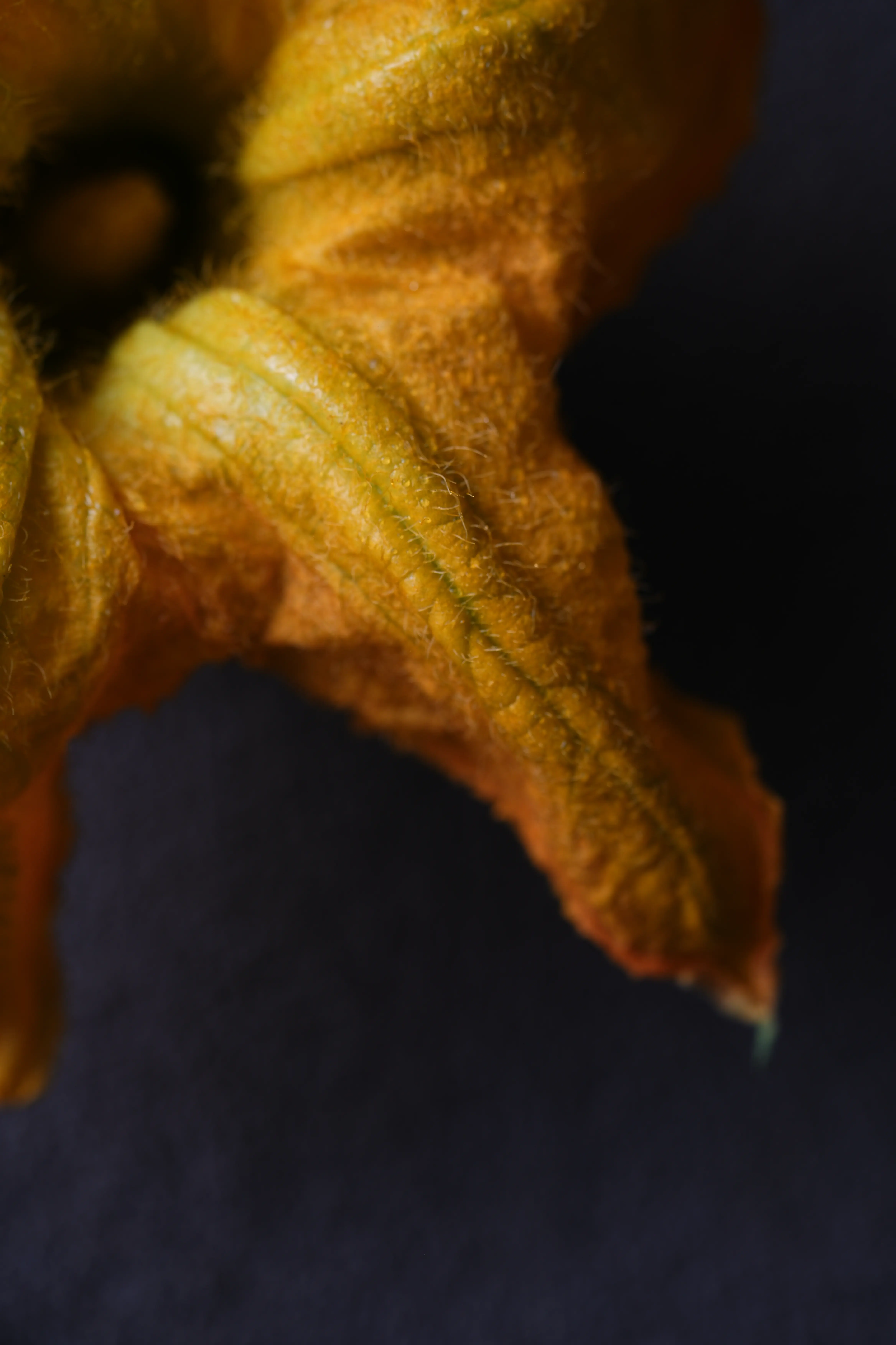 Yuan Cuisine Photography image 59 by maxlux.art / 沉光
