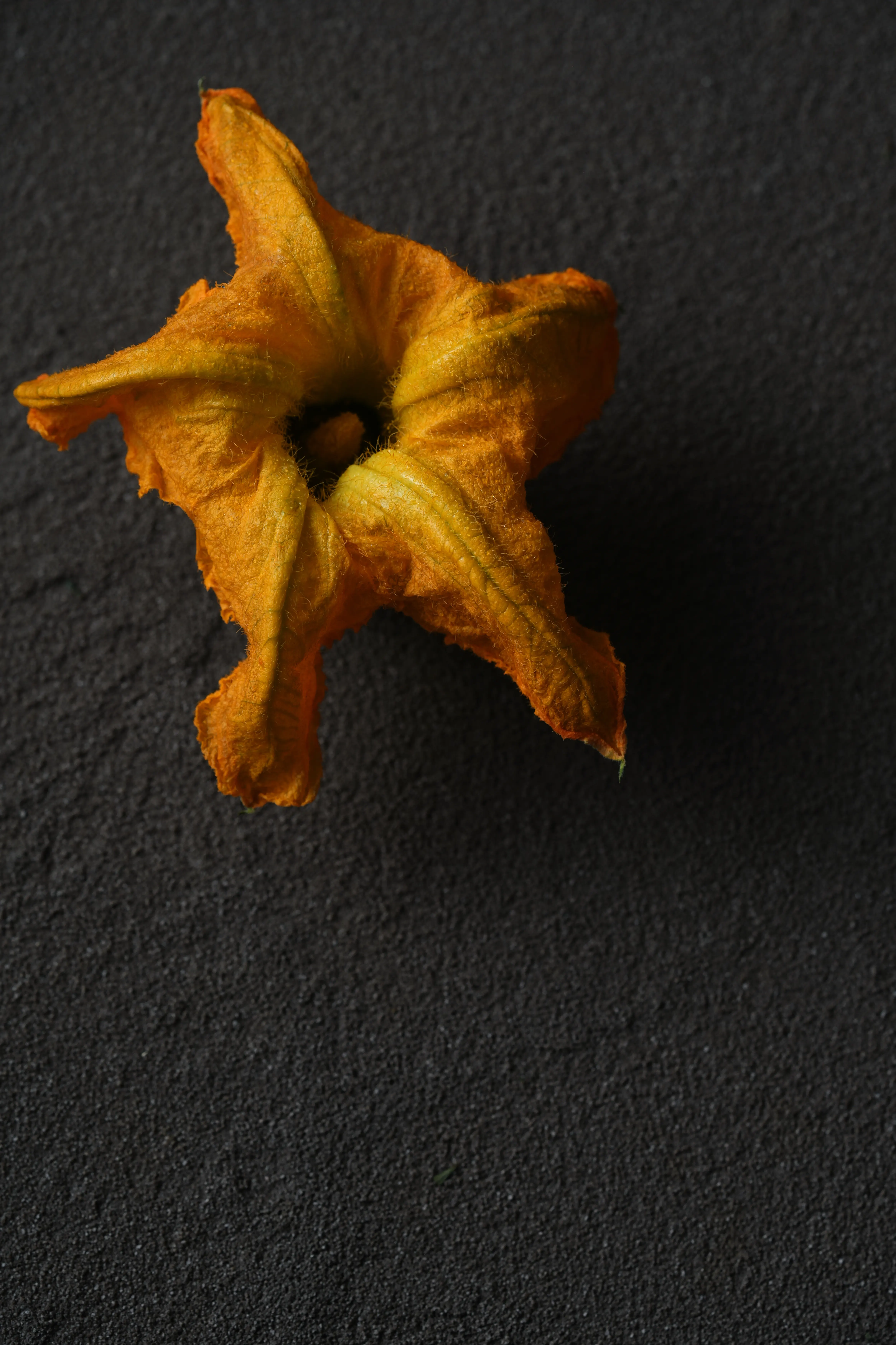 Yuan Cuisine Photography image 62 by maxlux.art / 沉光