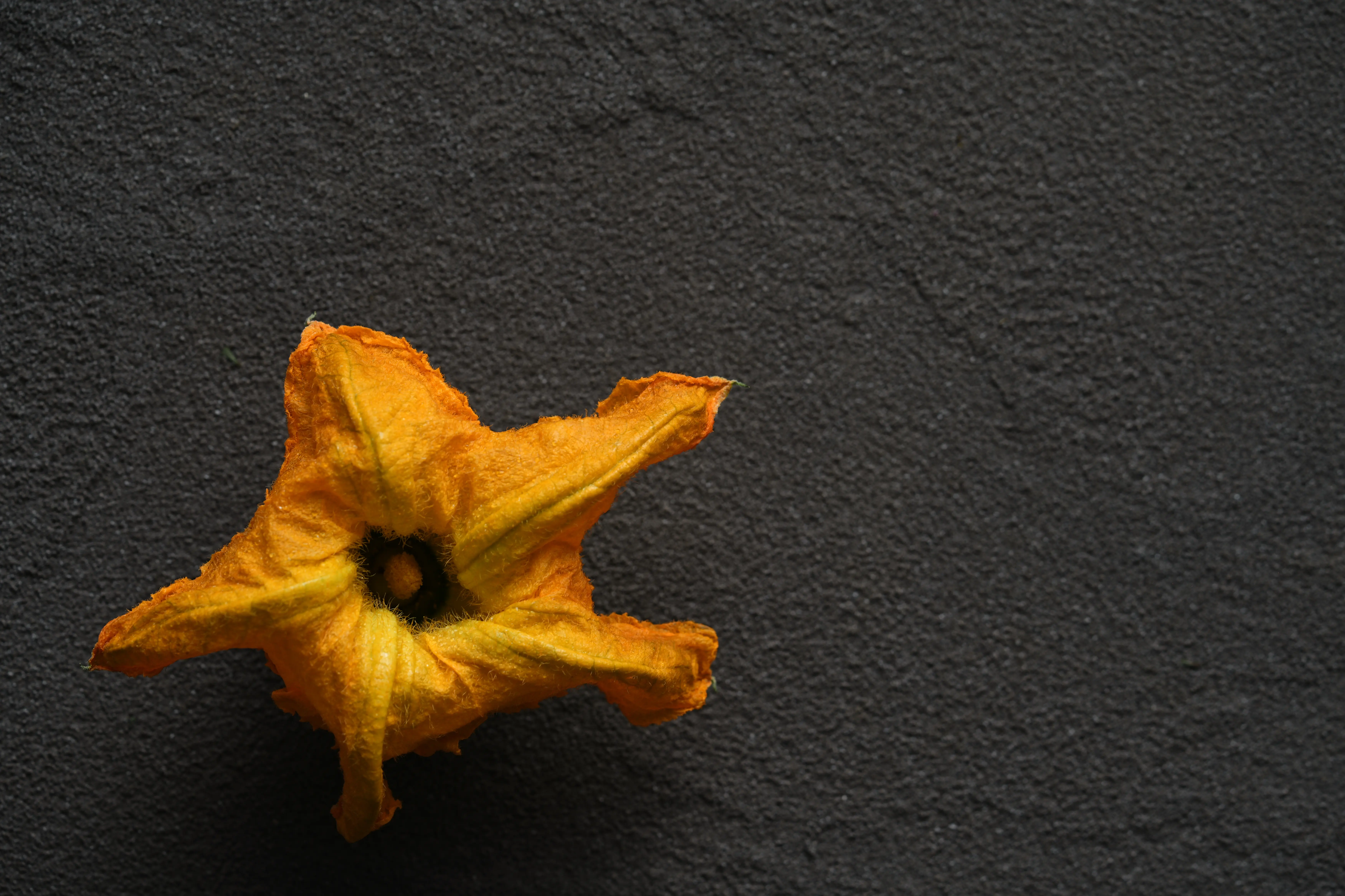 Yuan Cuisine Photography image 61 by maxlux.art / 沉光