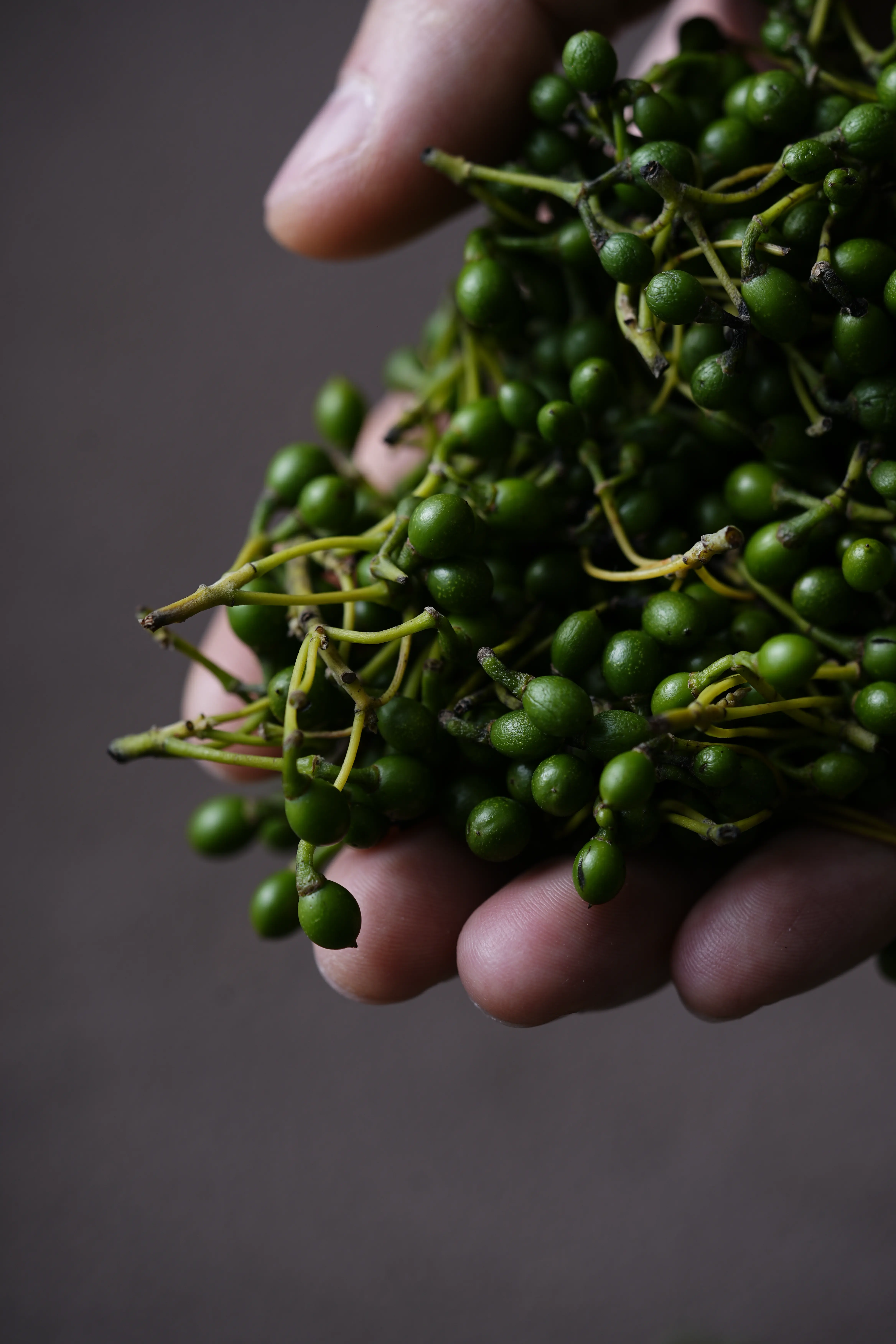 Yuan Cuisine Photography image 75 by maxlux.art / 沉光