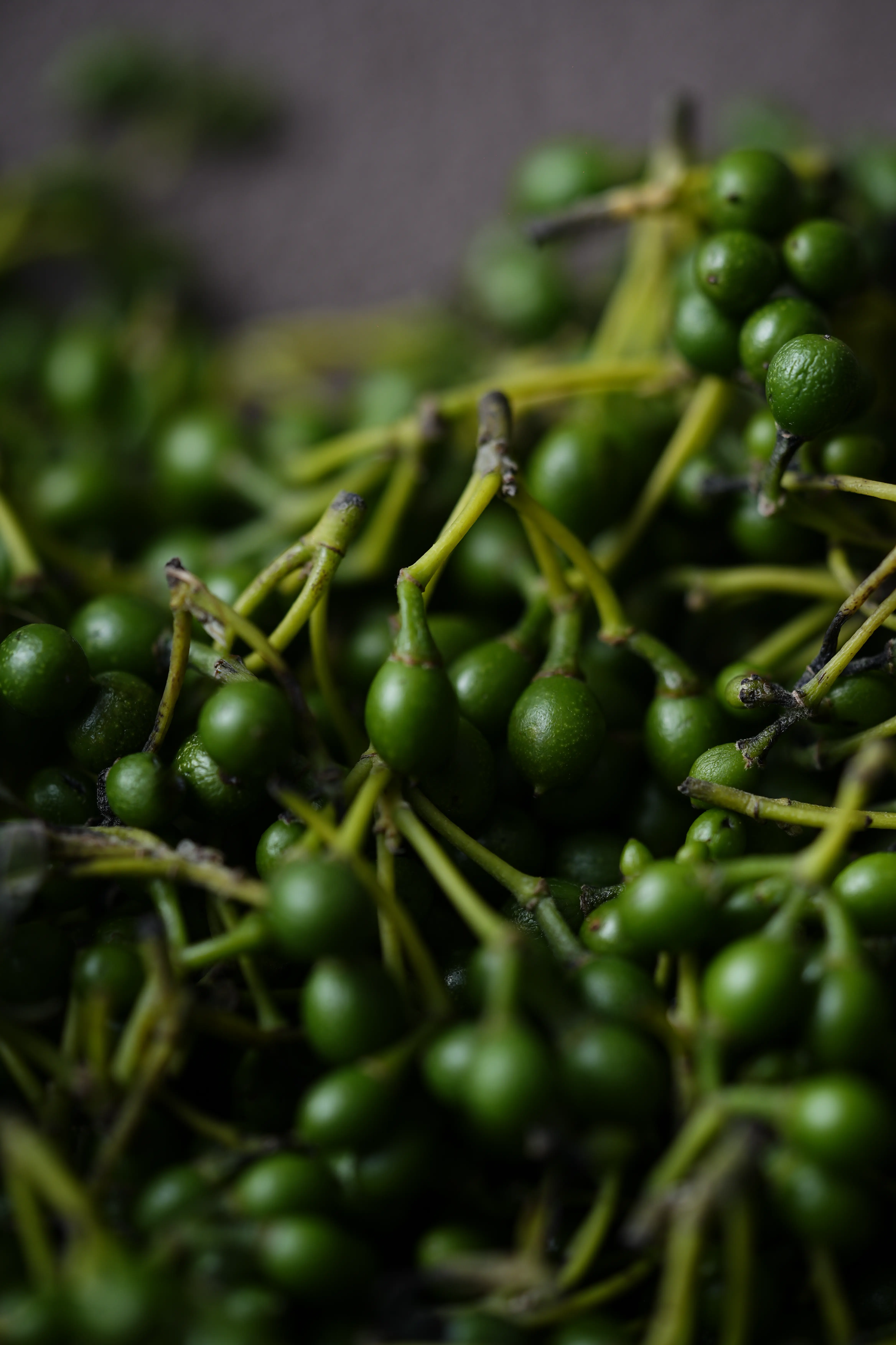 Yuan Cuisine Photography image 76 by maxlux.art / 沉光