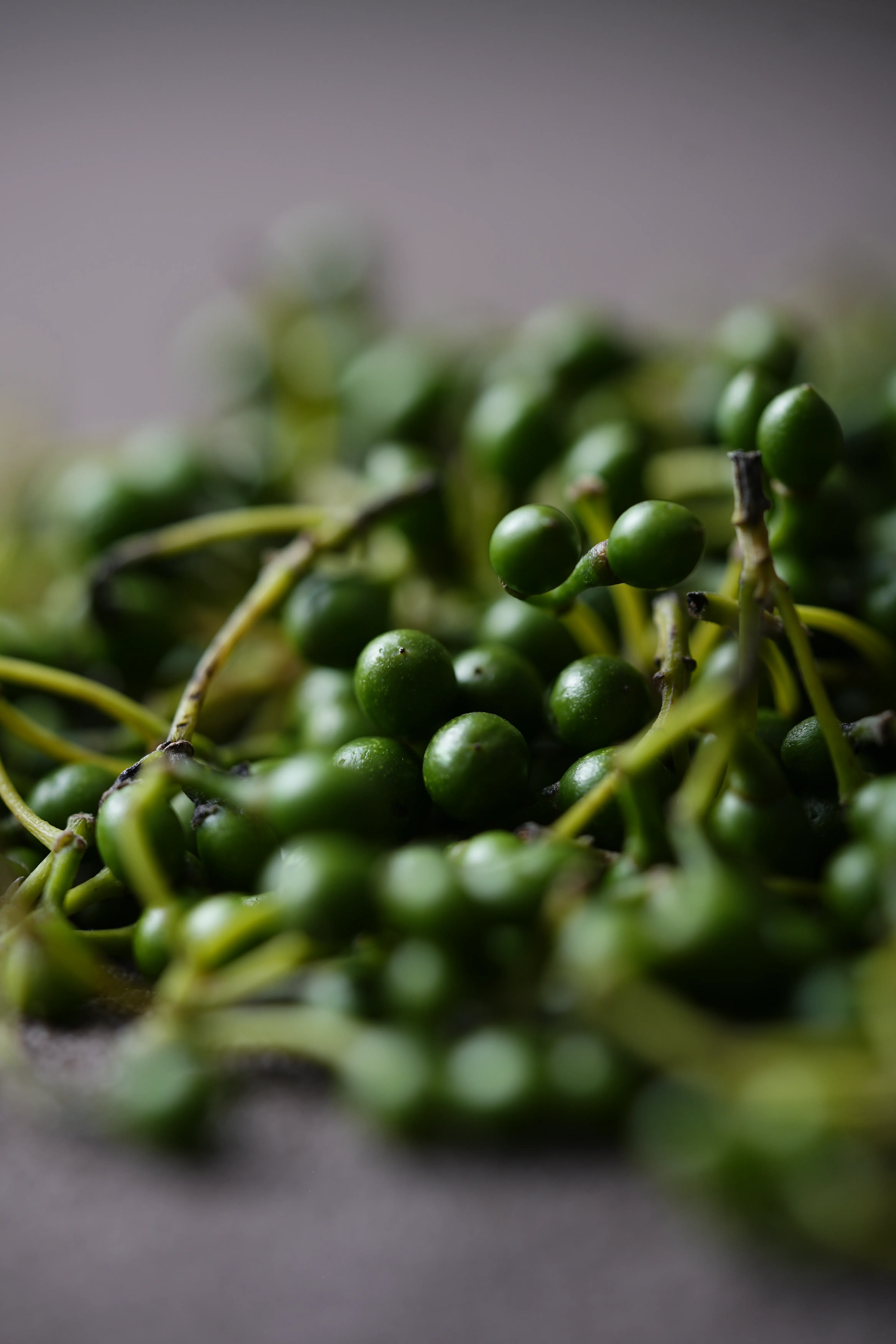 Yuan Cuisine Photography image 77 by maxlux.art / 沉光