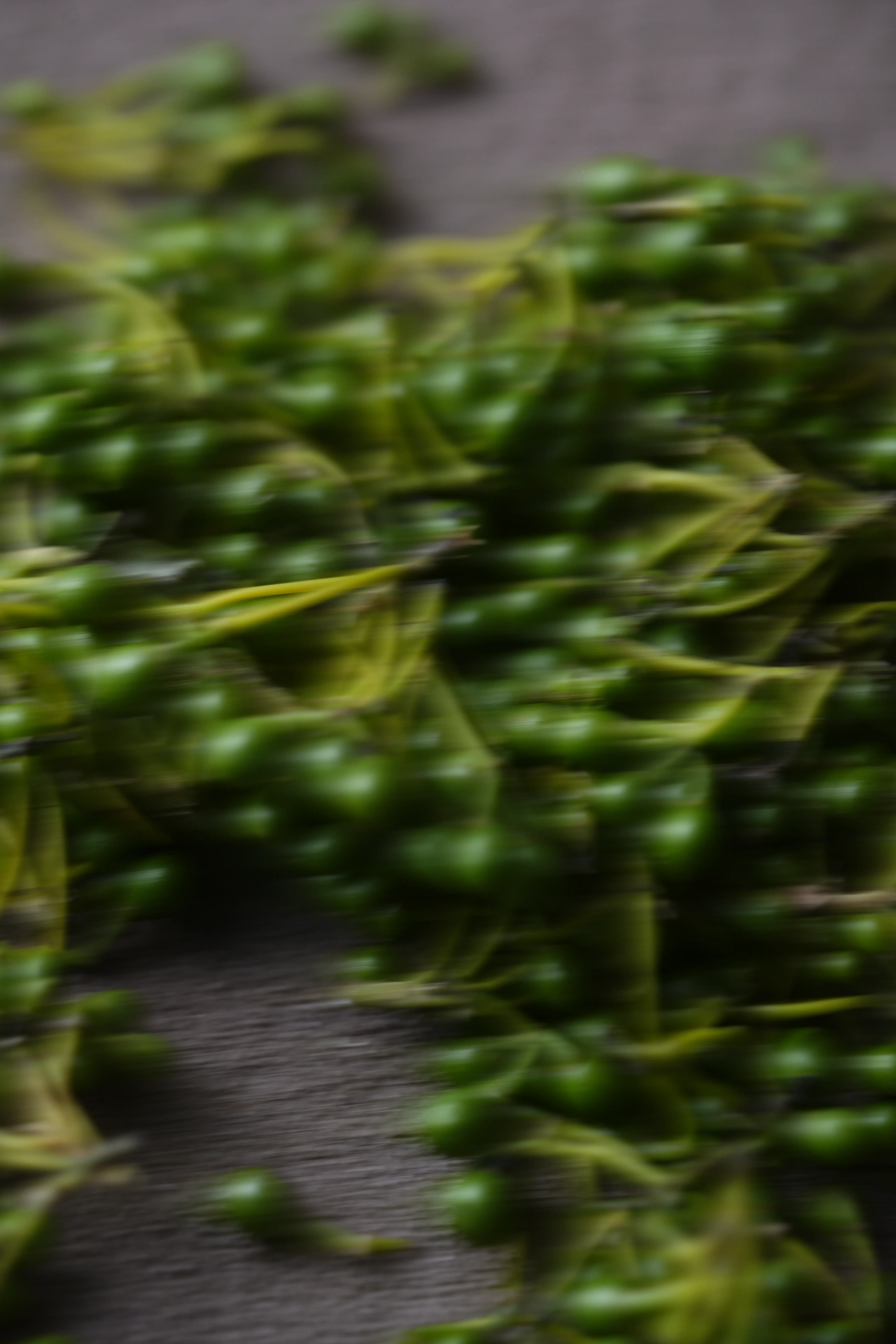 Yuan Cuisine Photography image 78 by maxlux.art / 沉光
