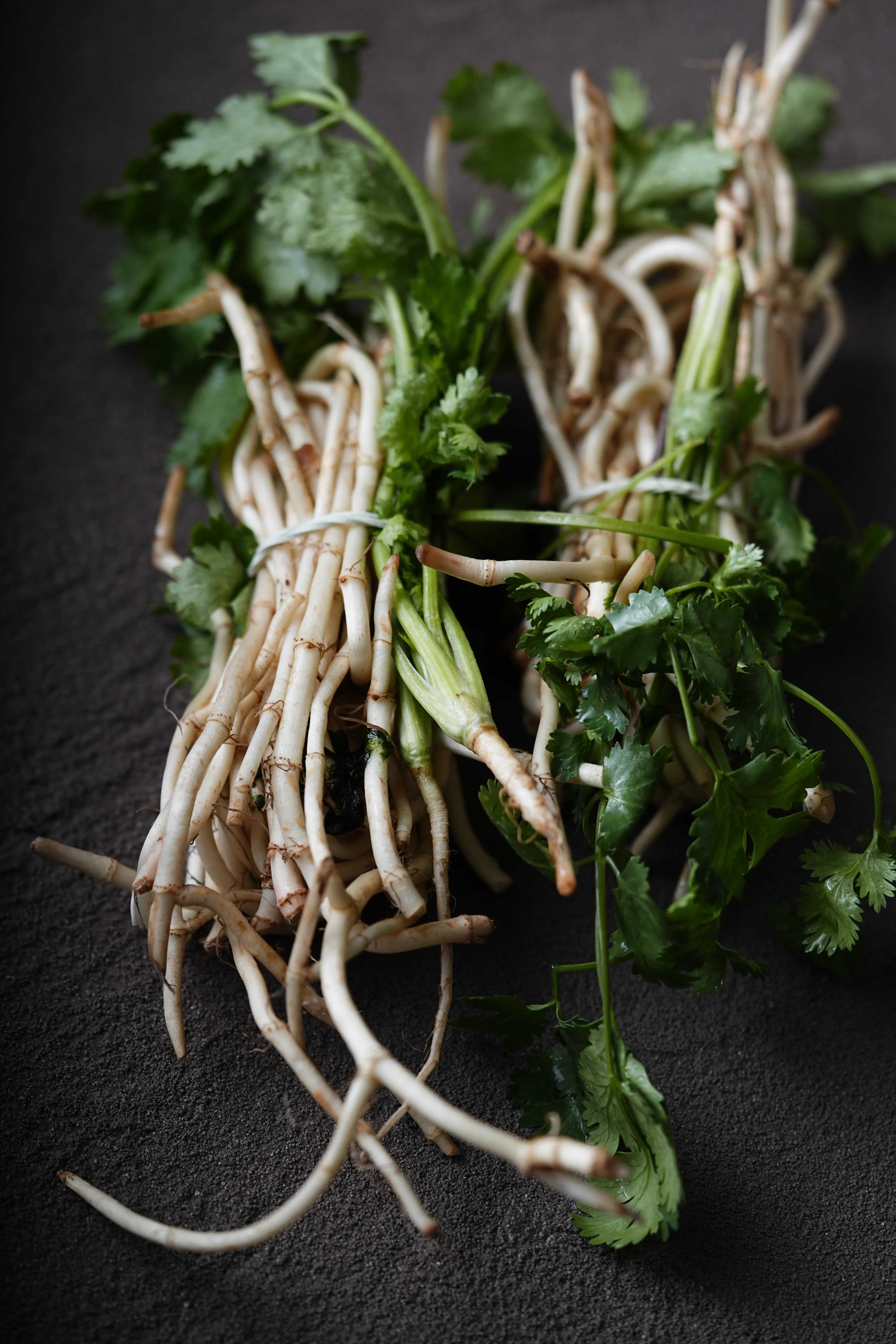 Yuan Cuisine Photography image 83 by maxlux.art / 沉光