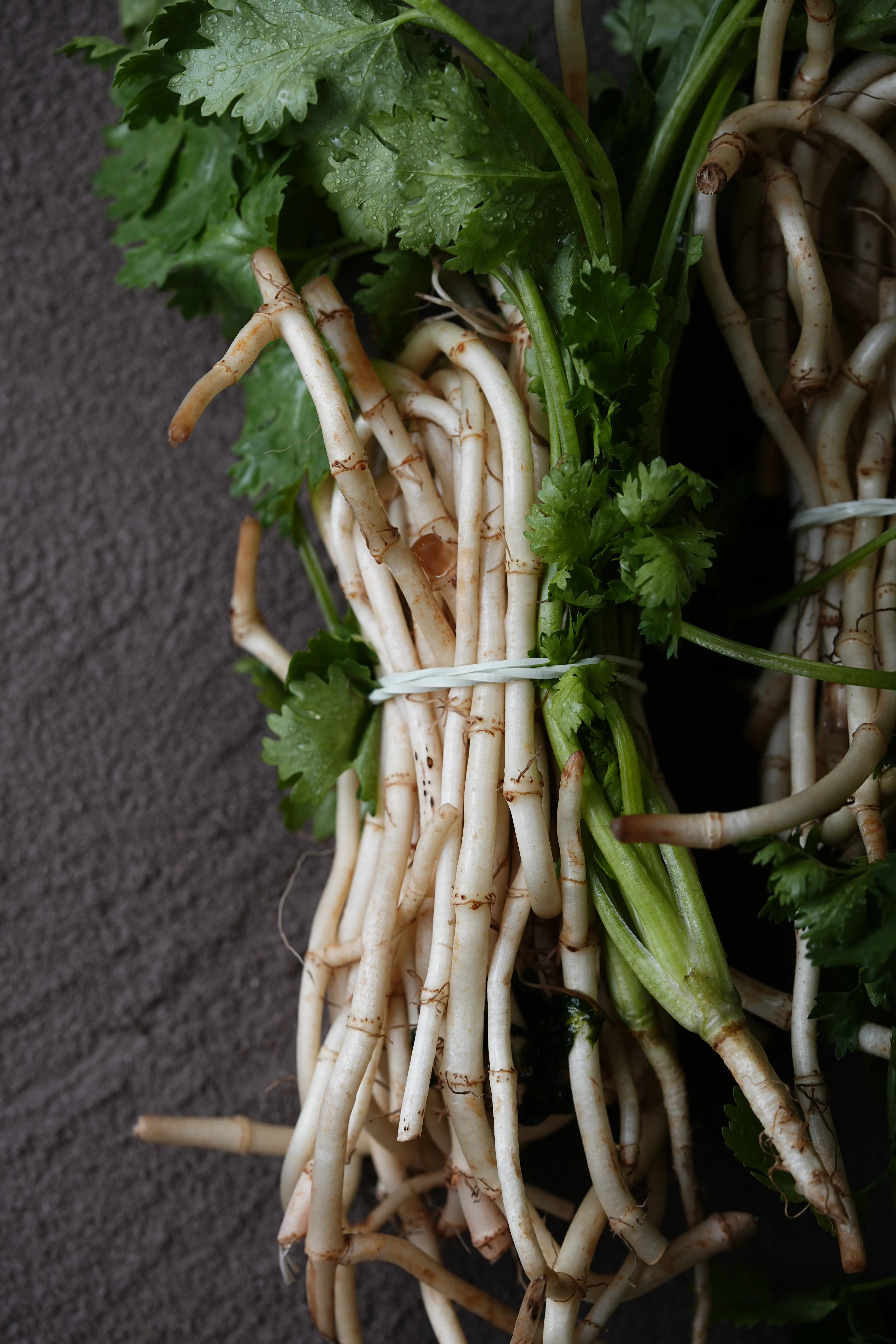 Yuan Cuisine Photography image 84 by maxlux.art / 沉光