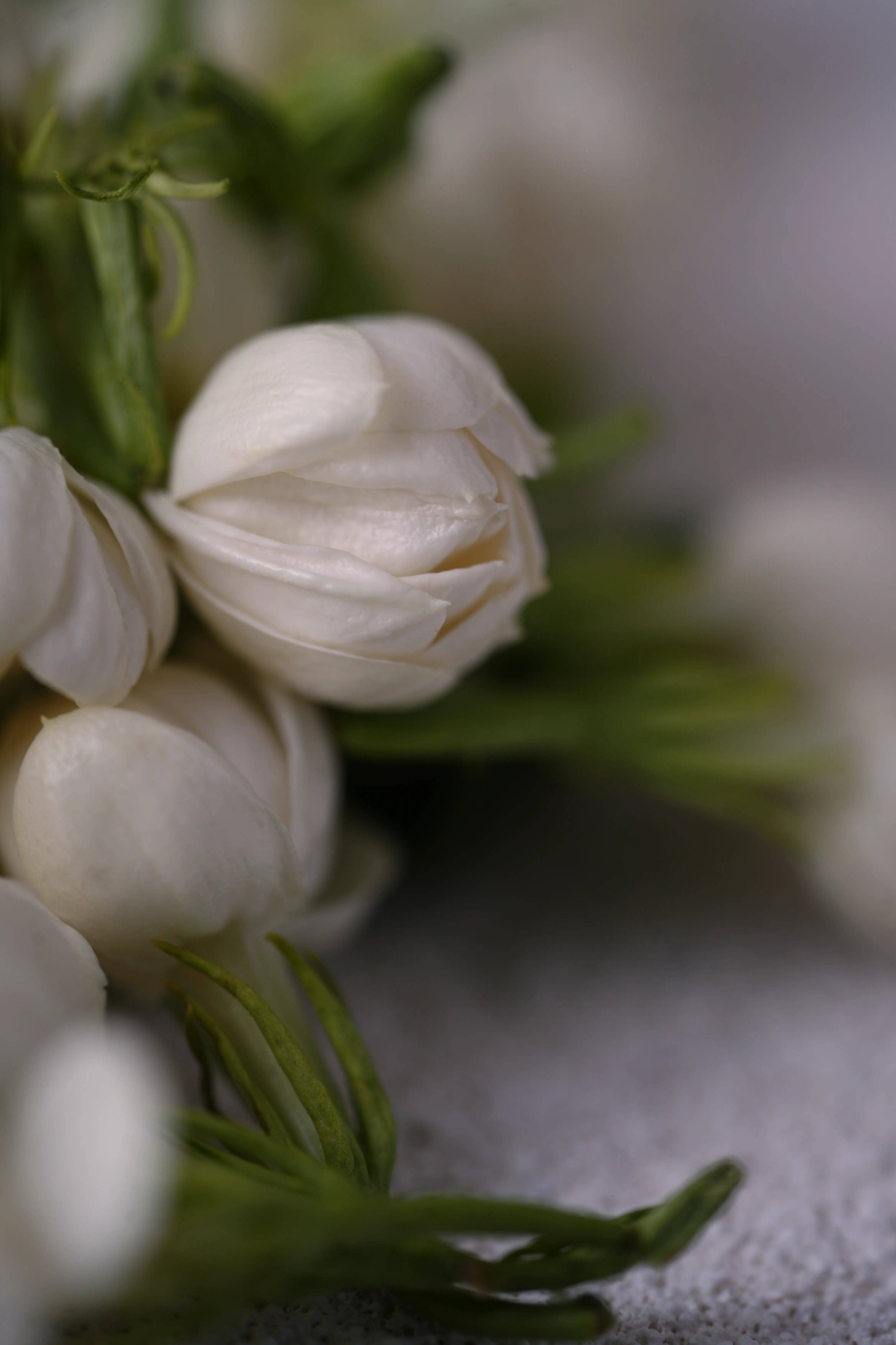 Yuan Cuisine Photography image 12 by maxlux.art / 沉光