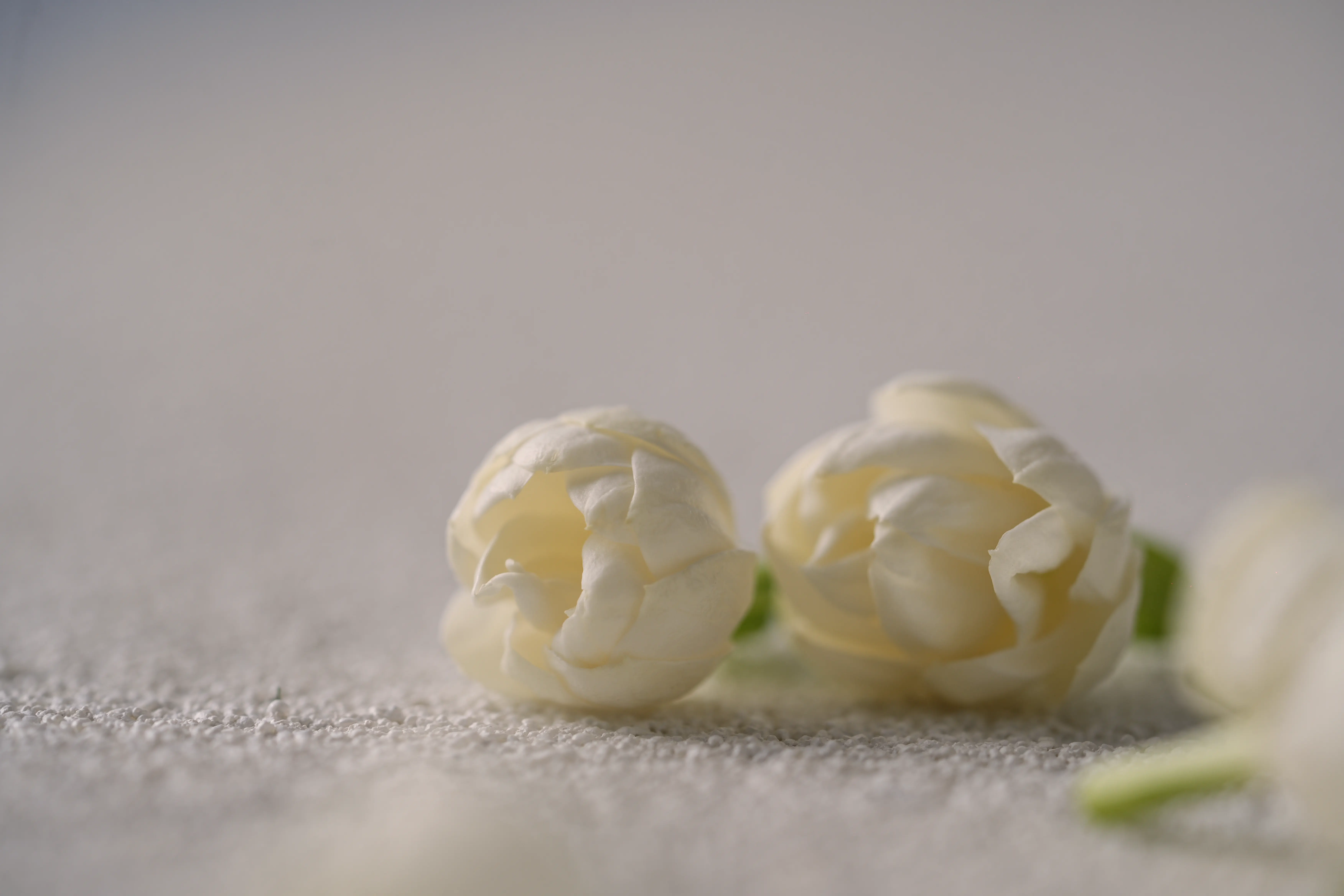 Yuan Cuisine Photography image 11 by maxlux.art / 沉光