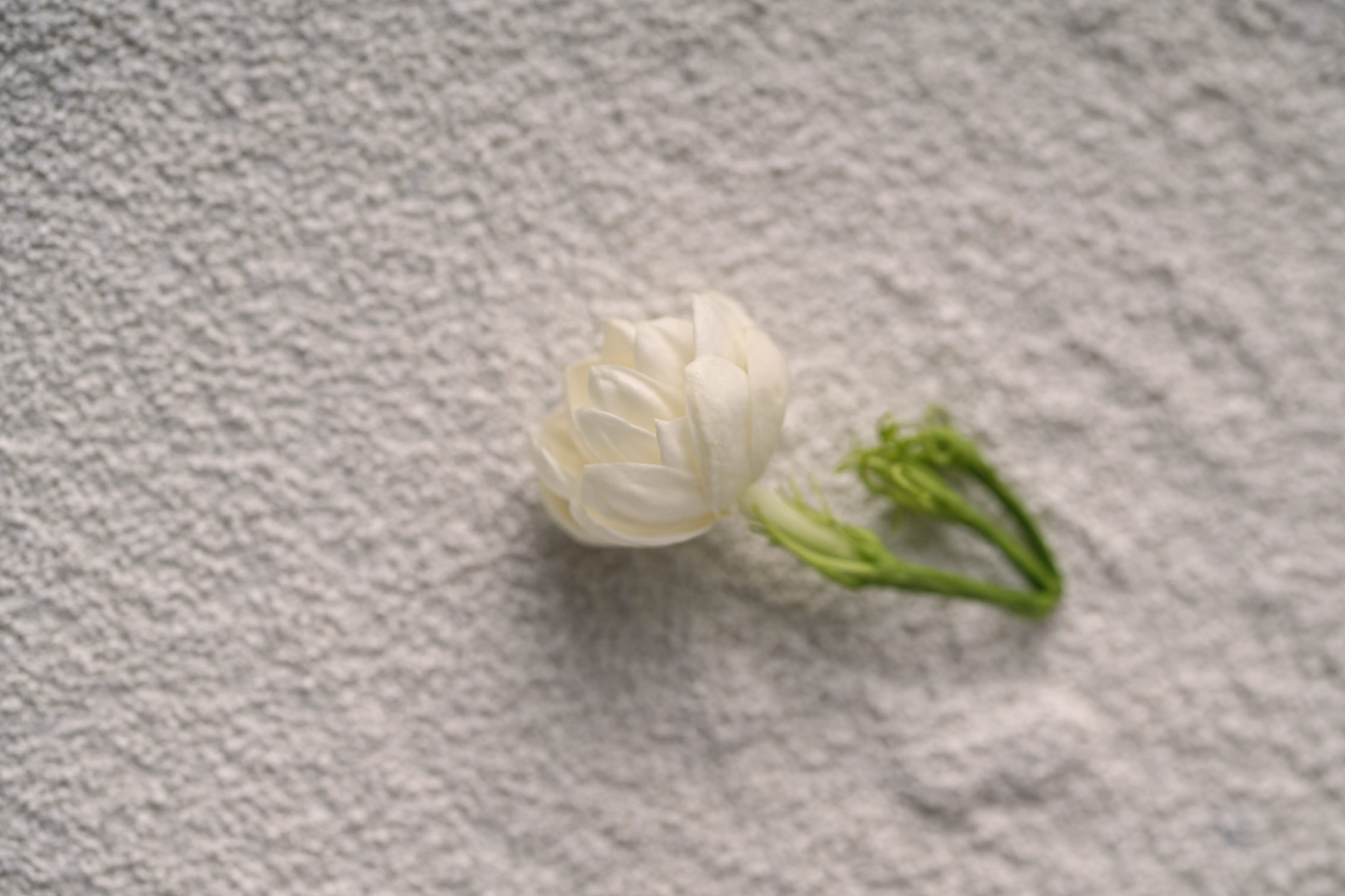 Yuan Cuisine Photography image 18 by maxlux.art / 沉光