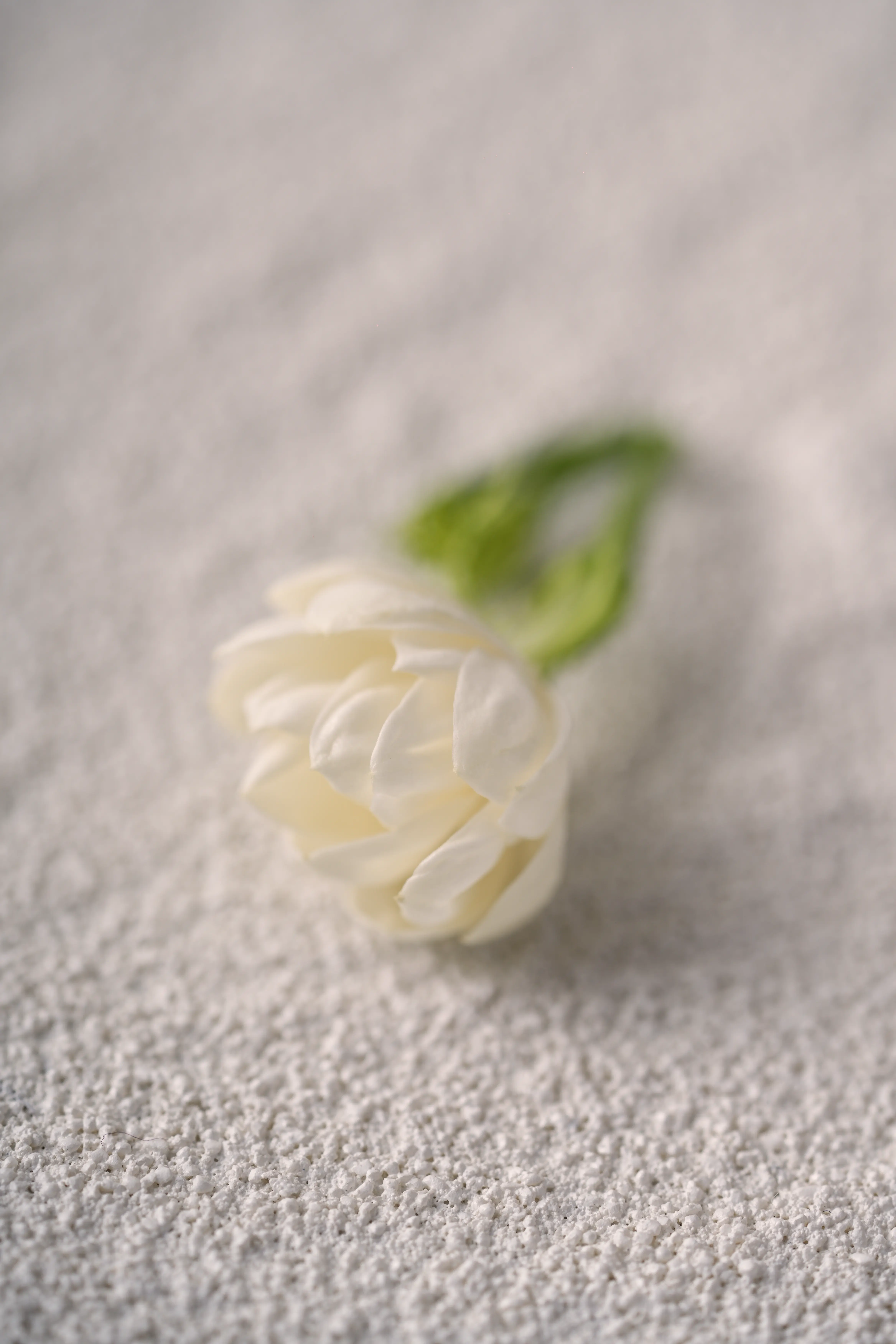 Yuan Cuisine Photography image 14 by maxlux.art / 沉光