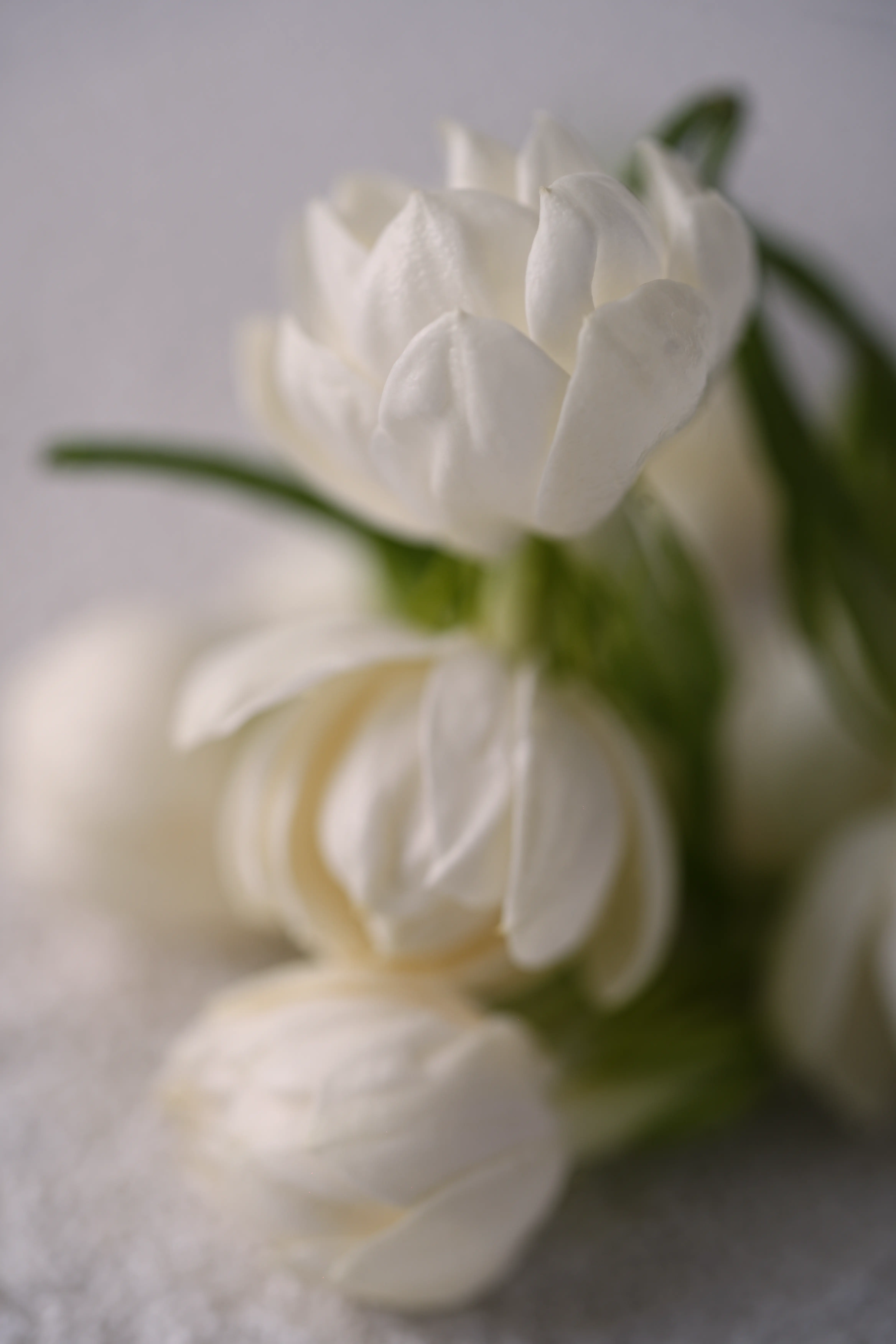 Yuan Cuisine Photography image 15 by maxlux.art / 沉光