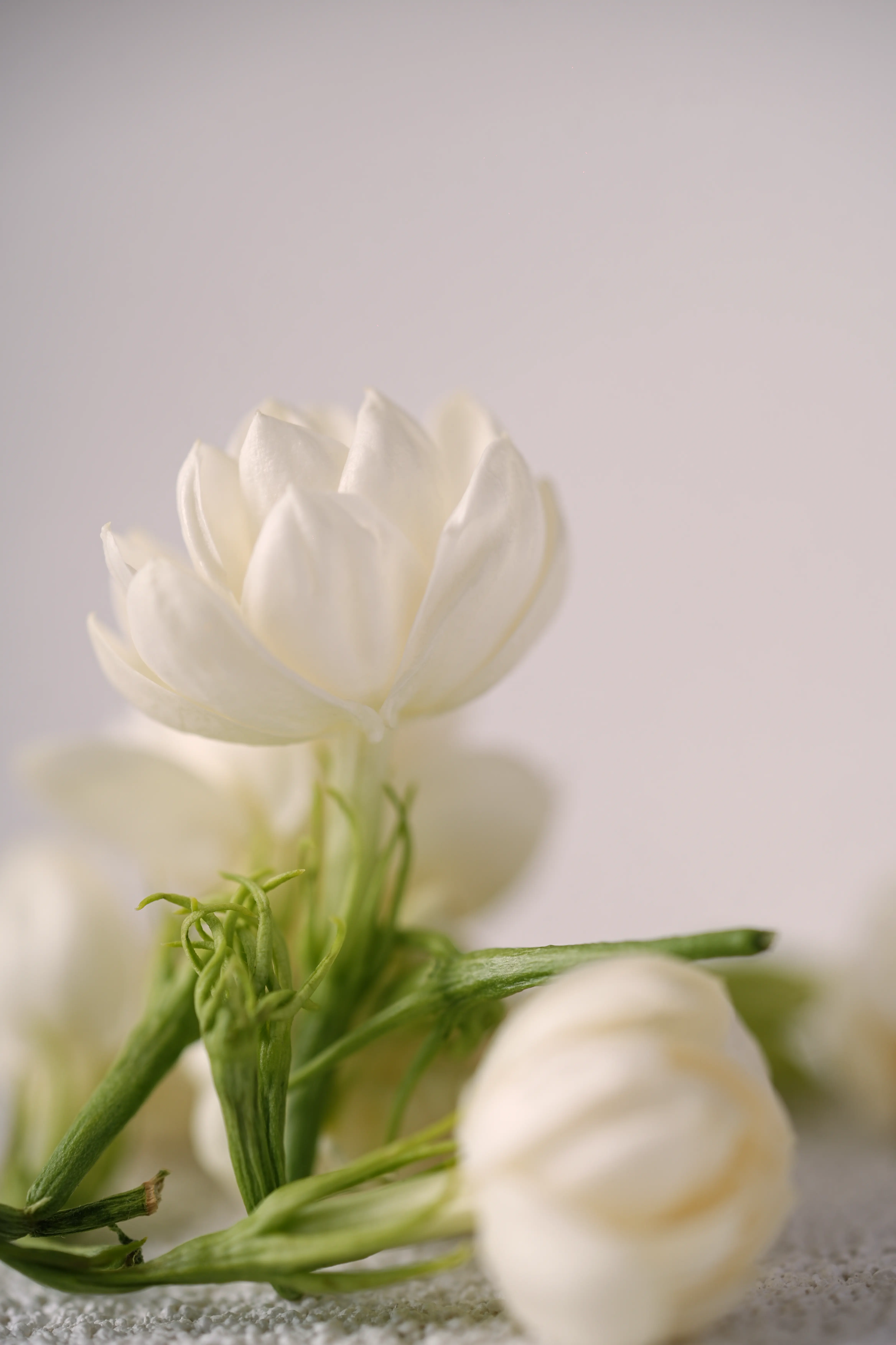 Yuan Cuisine Photography image 16 by maxlux.art / 沉光