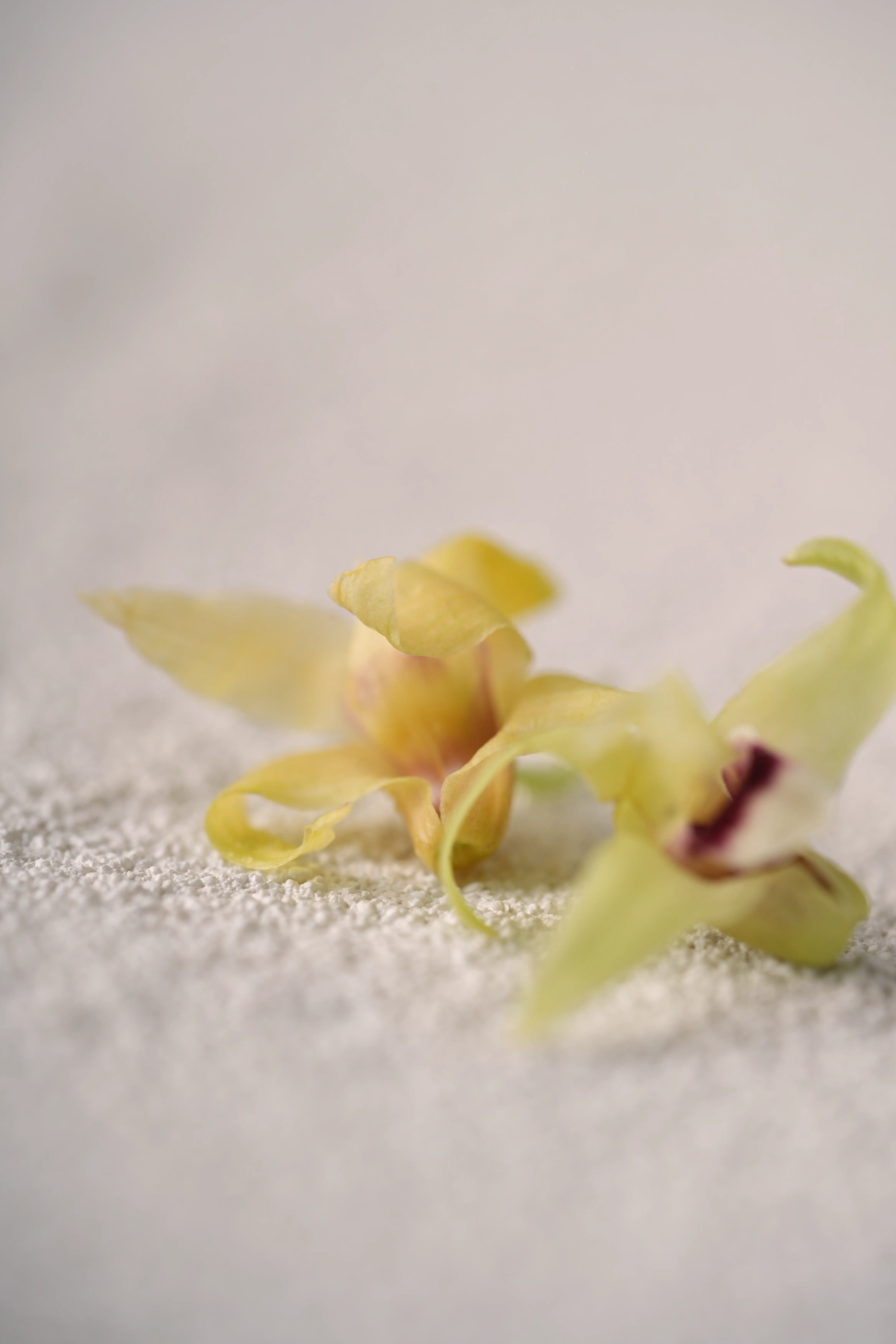 Yuan Cuisine Photography image 17 by maxlux.art / 沉光