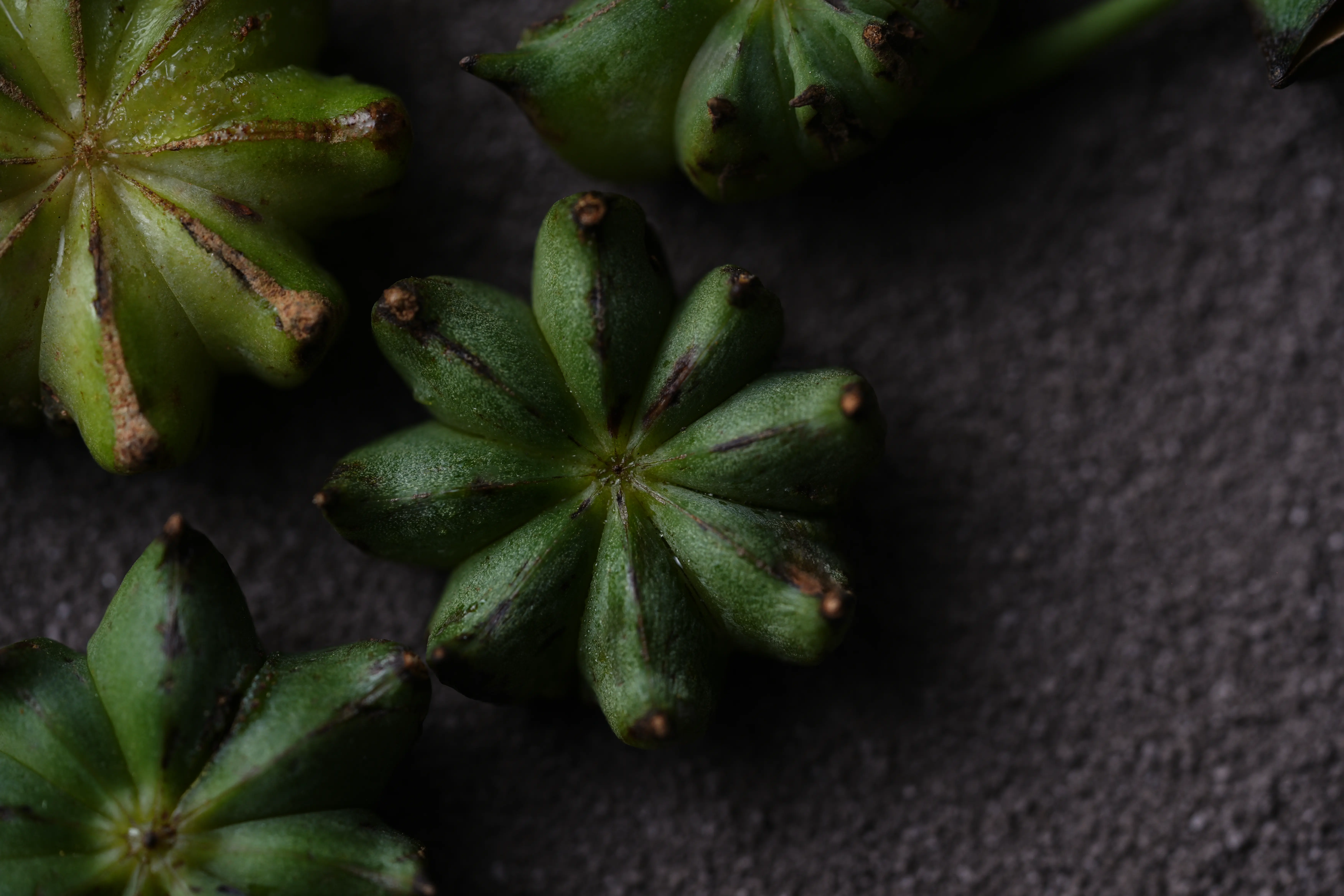 Yuan Cuisine Photography image 22 by maxlux.art / 沉光
