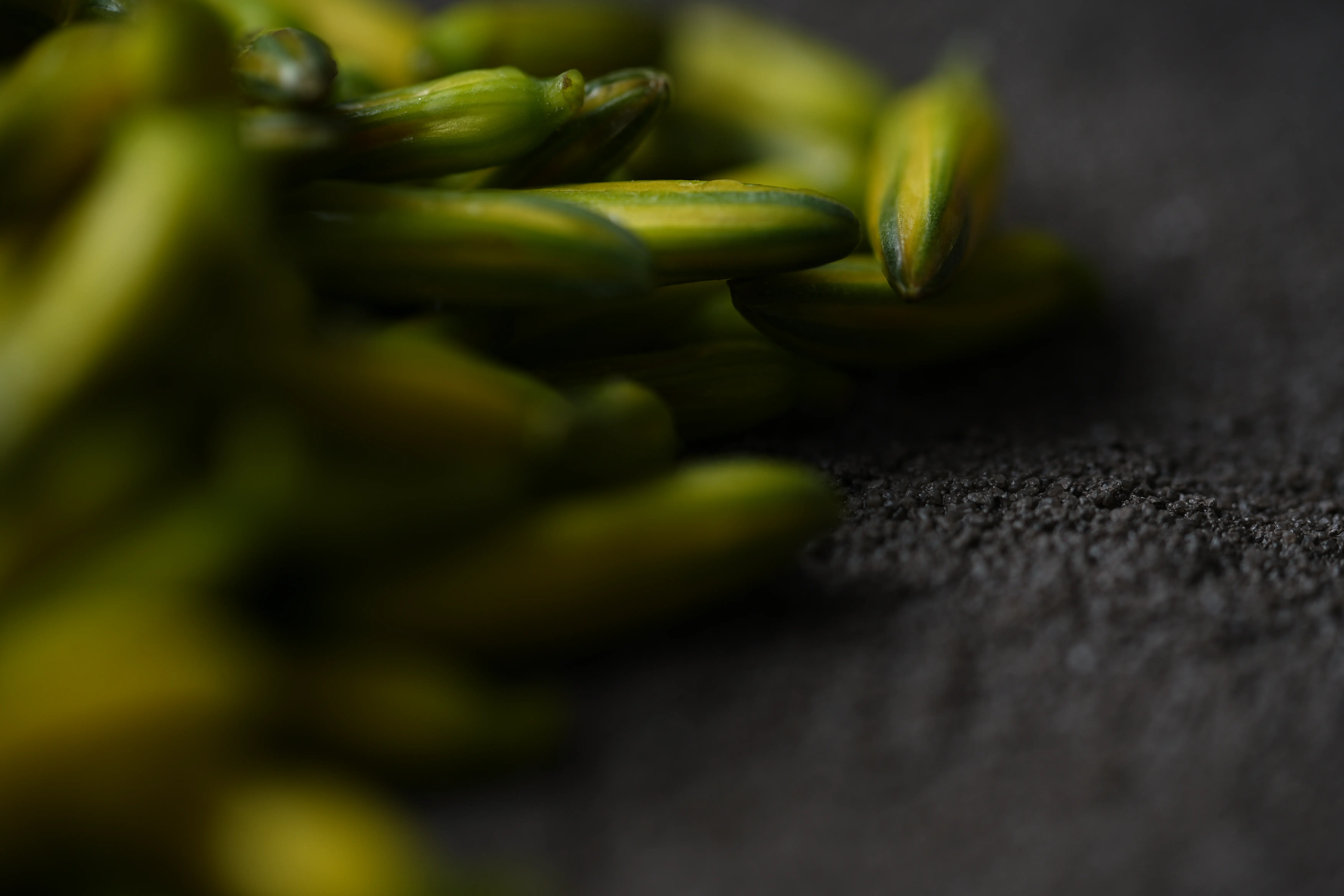Yuan Cuisine Photography image 48 by maxlux.art / 沉光