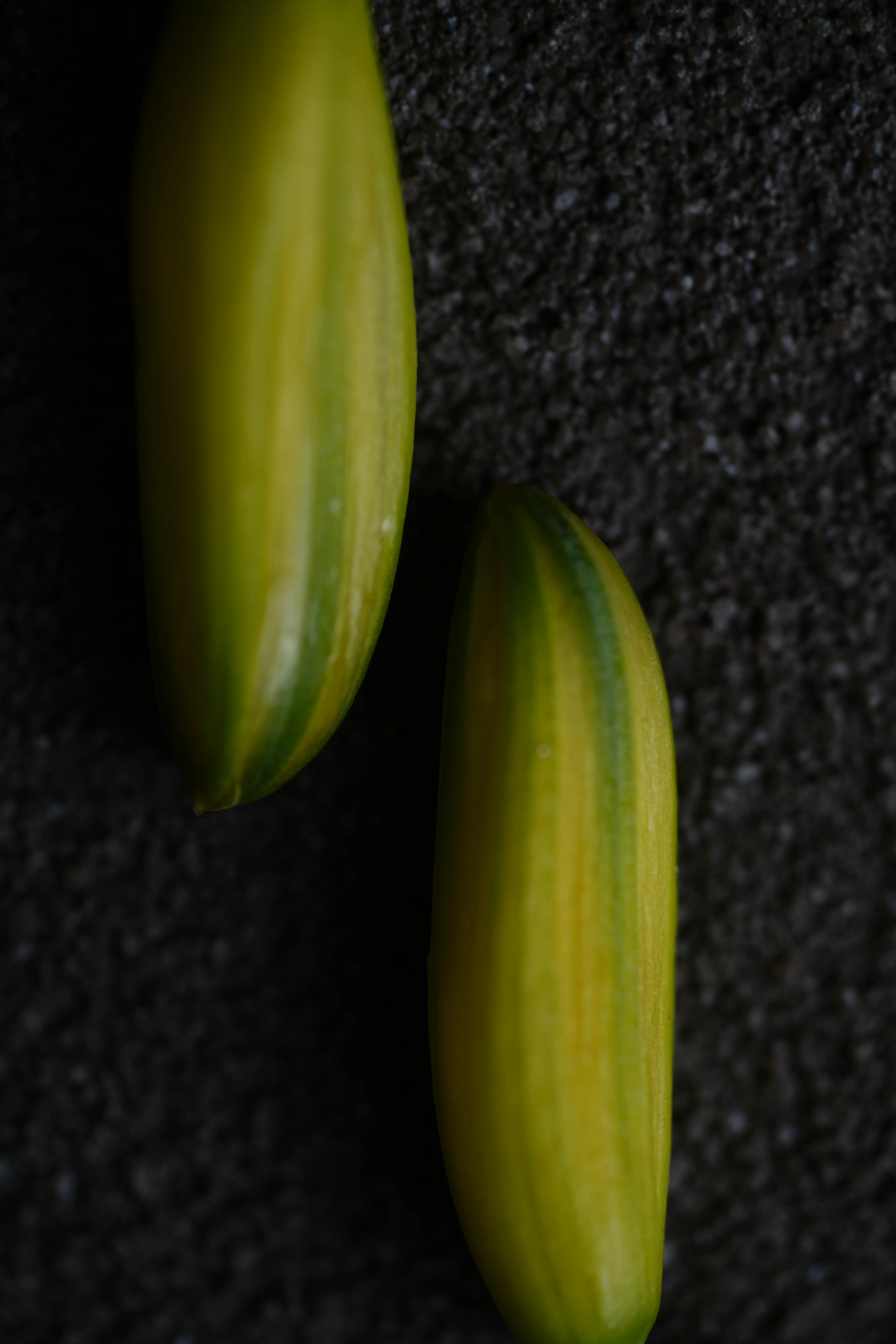 Yuan Cuisine Photography image 43 by maxlux.art / 沉光
