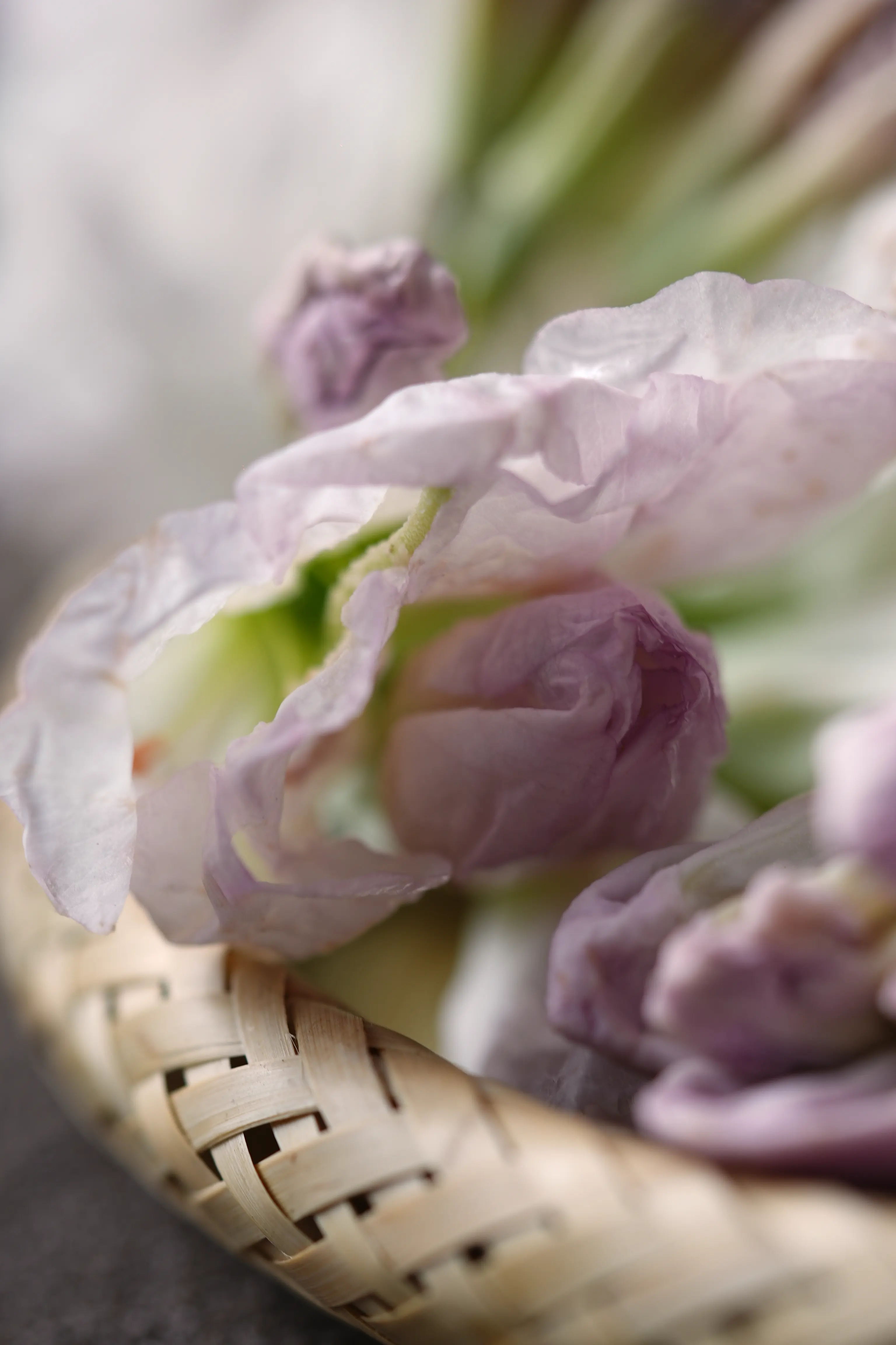 Yuan Cuisine Photography image 54 by maxlux.art / 沉光