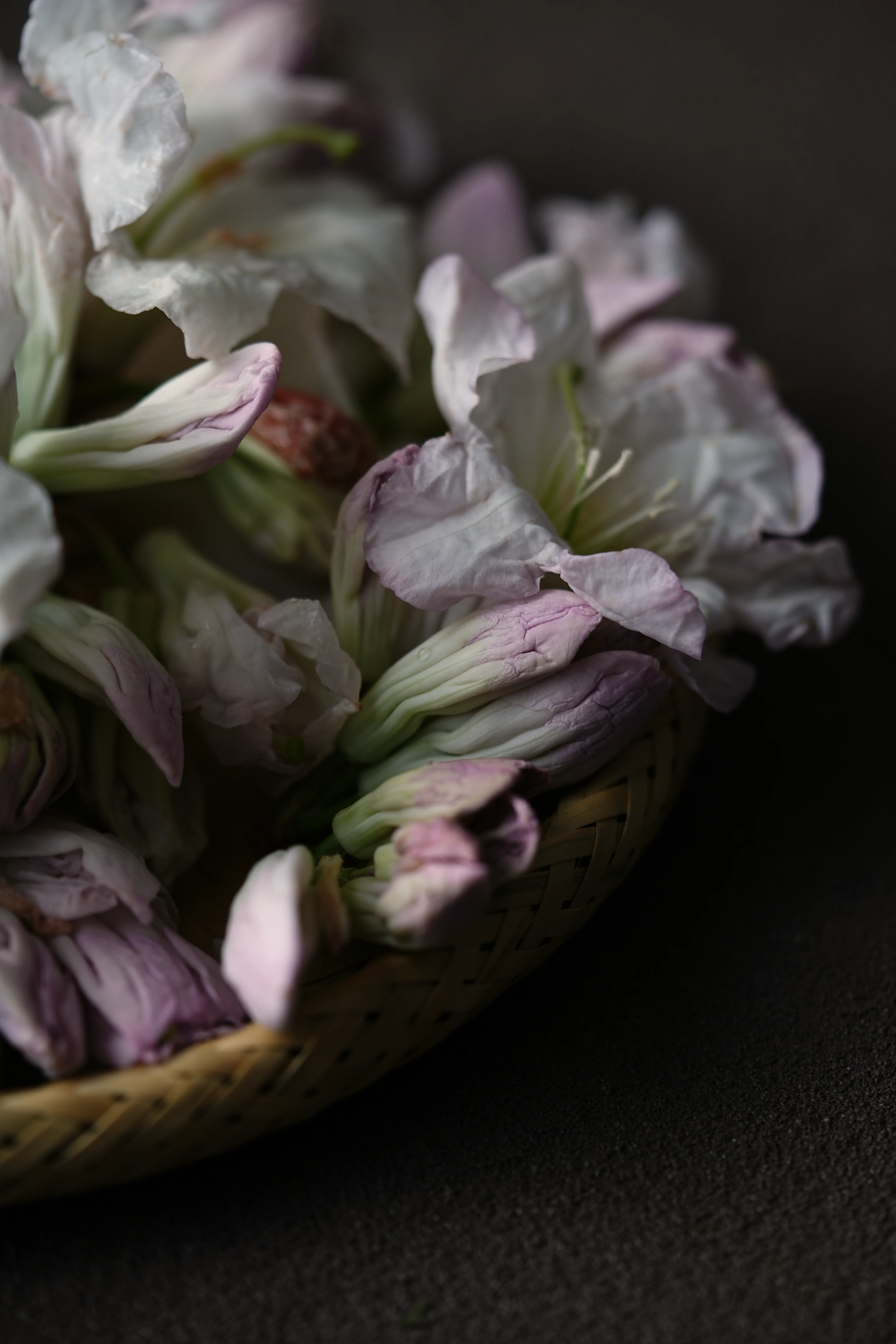 Yuan Cuisine Photography image 55 by maxlux.art / 沉光